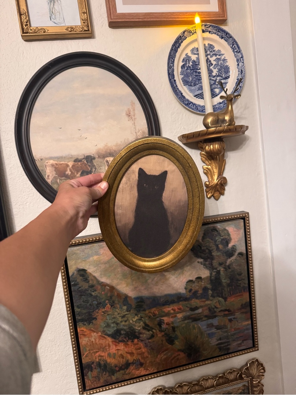My Texas house black framed art cat